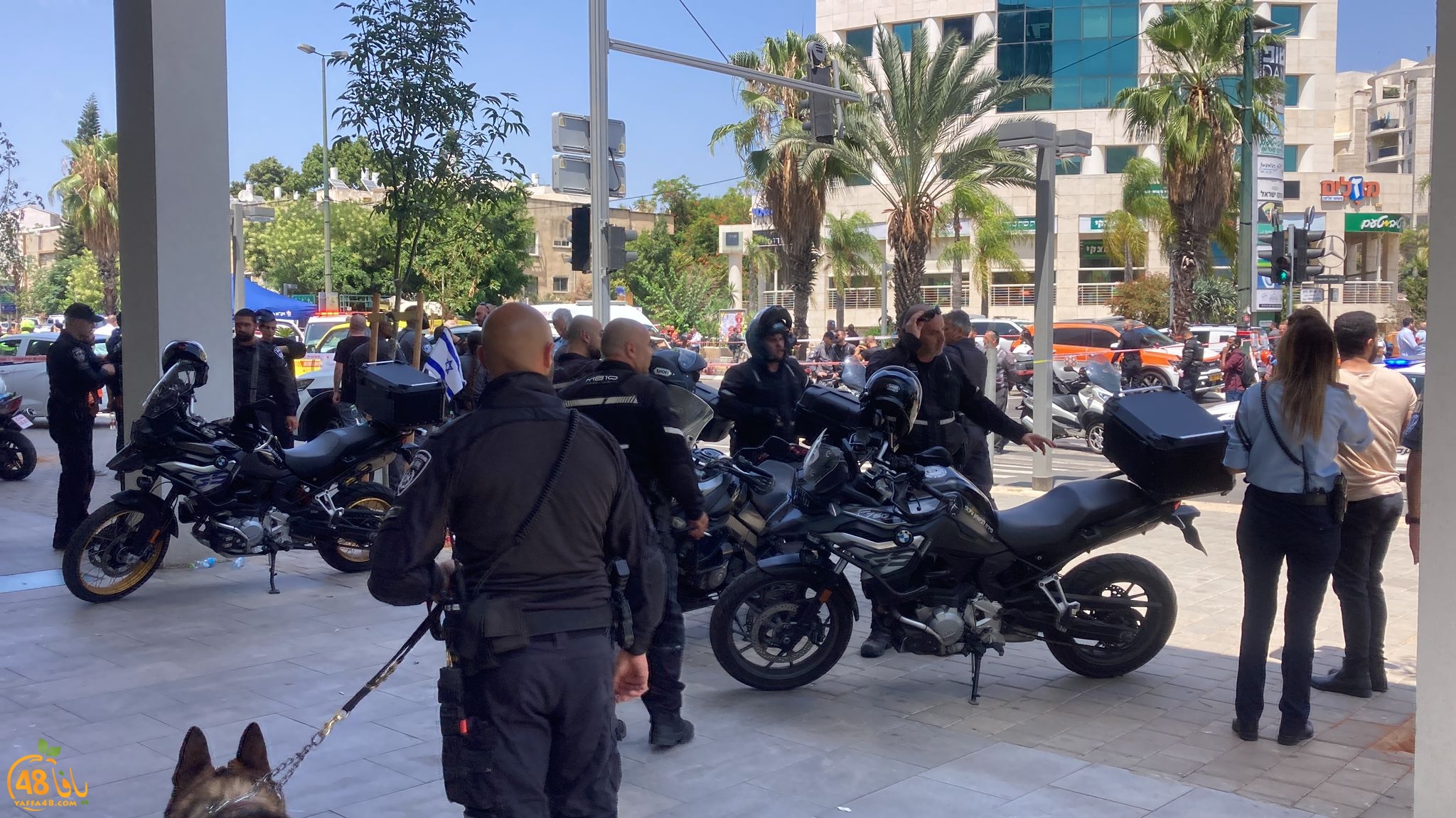 WhatsApp Image 2023-07-04 at 2.05.30 PM.jpeg